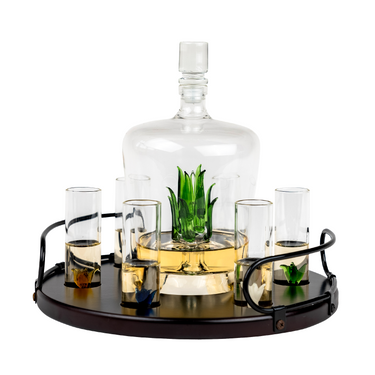 Tequila Decanter Tequila Glasses Set with Agave Decanter and 6 Agave Shot Glass With Stand, Perfect for Gifts for Tequila Lovers, 750mL Bottle, 3 OZ Shot Glass Party Decorations Cinco De Mayo (Agave)-0
